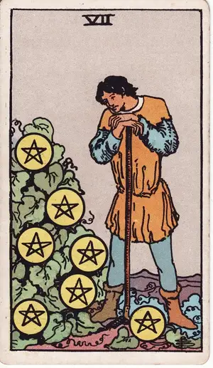 Карта Таро Семерка Пентаклей (Seven of Pentacles), колода Райдера–Уэйта